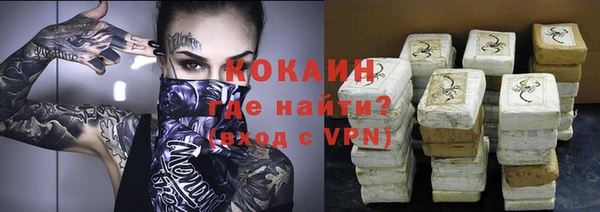 мяу мяу мука Иннополис