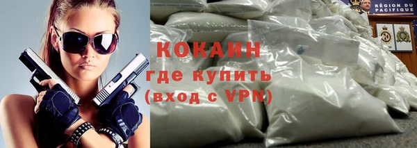 твердый Бородино
