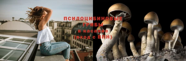 кристаллы Инсар