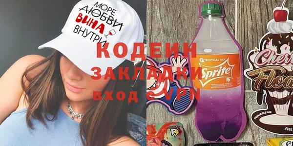 твердый Бородино