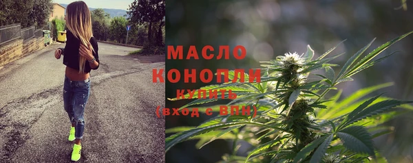 твердый Бородино