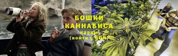 твердый Бородино