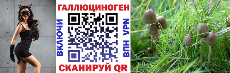 Галлюциногенные грибы прущие грибы Северодвинск