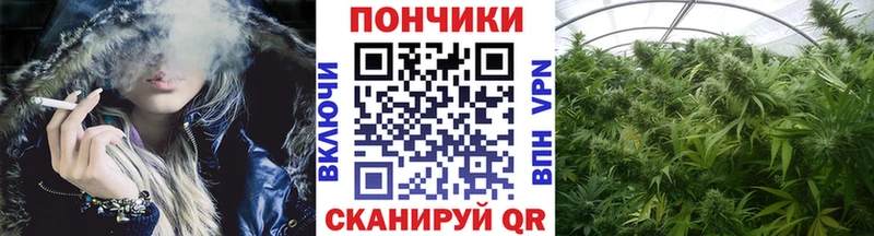 blacksprut маркетплейс  Северодвинск  дарк нет телеграм  МАРИХУАНА OG Kush 